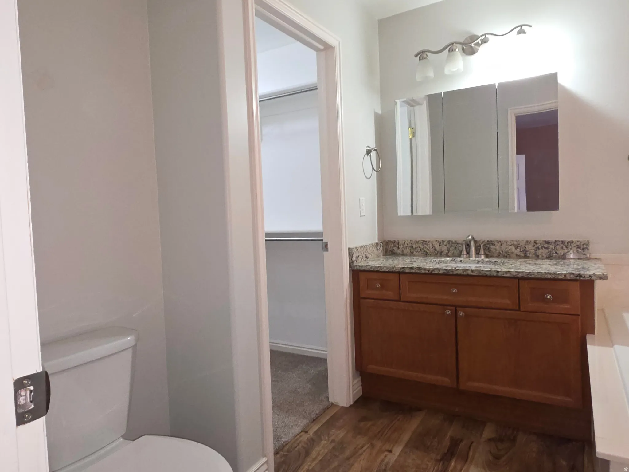 Bathroom featuring a single vanity with a granite countertop, wood-finish flooring, and a three-bulb light fixture