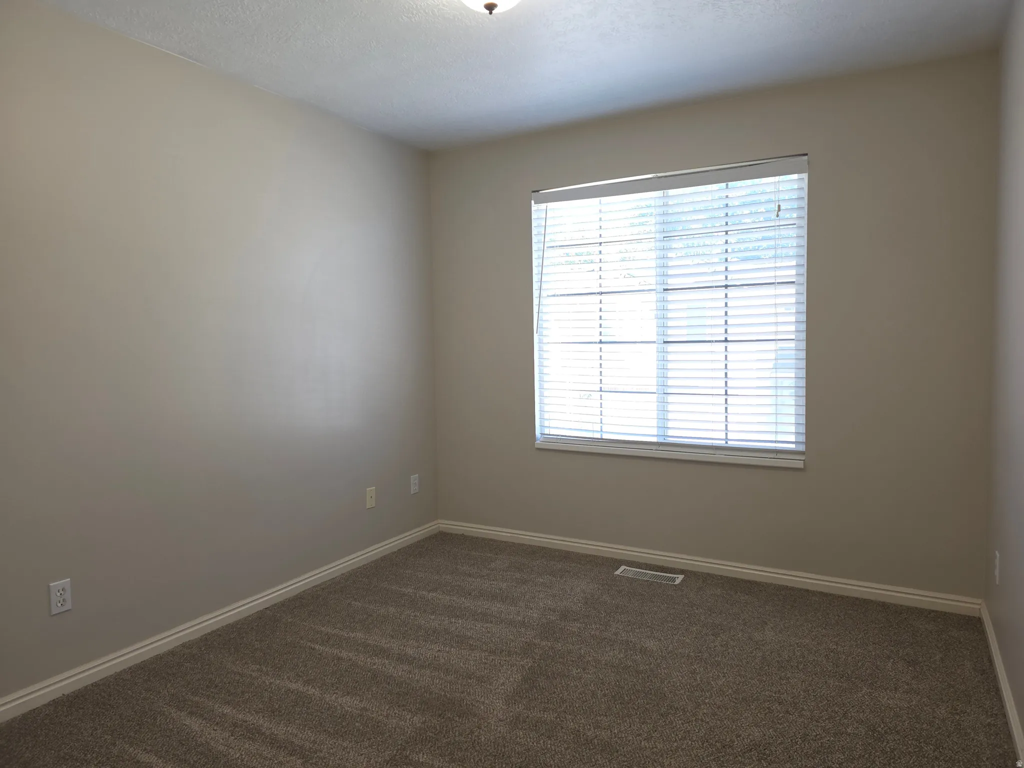 Neutral-toned walls complement the textured carpet flooring
