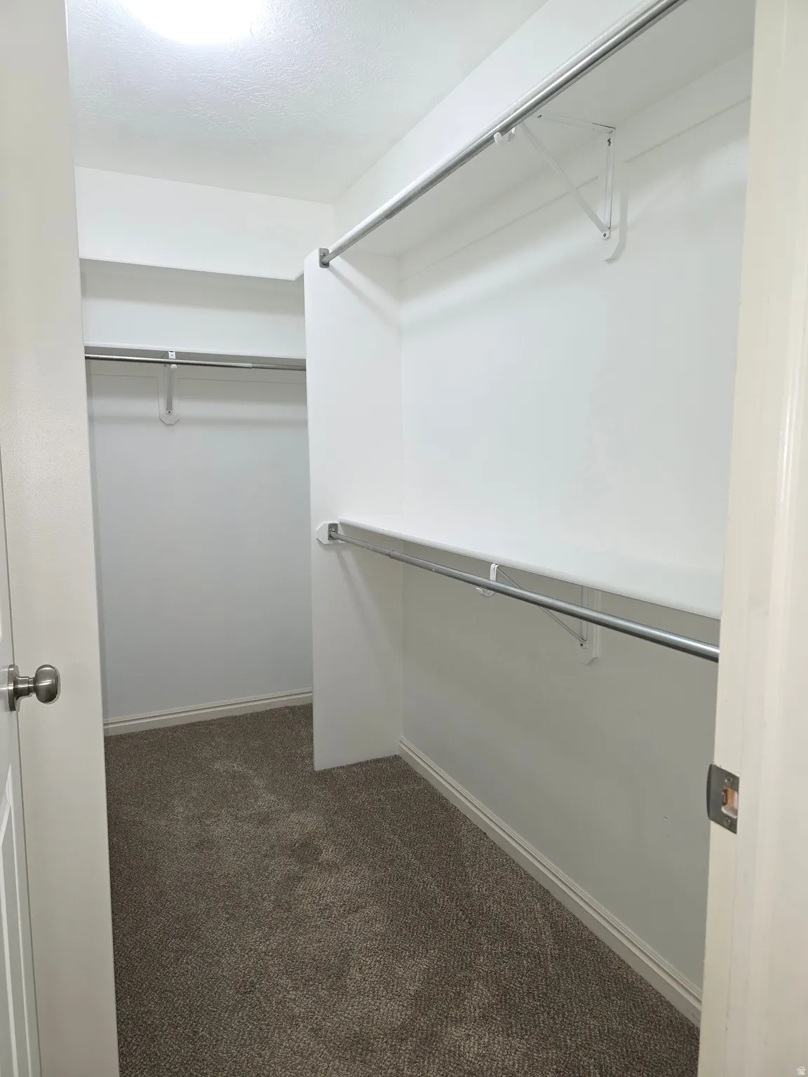 Walk-in closet with carpet flooring, white painted walls, and built-in metal hanging rods