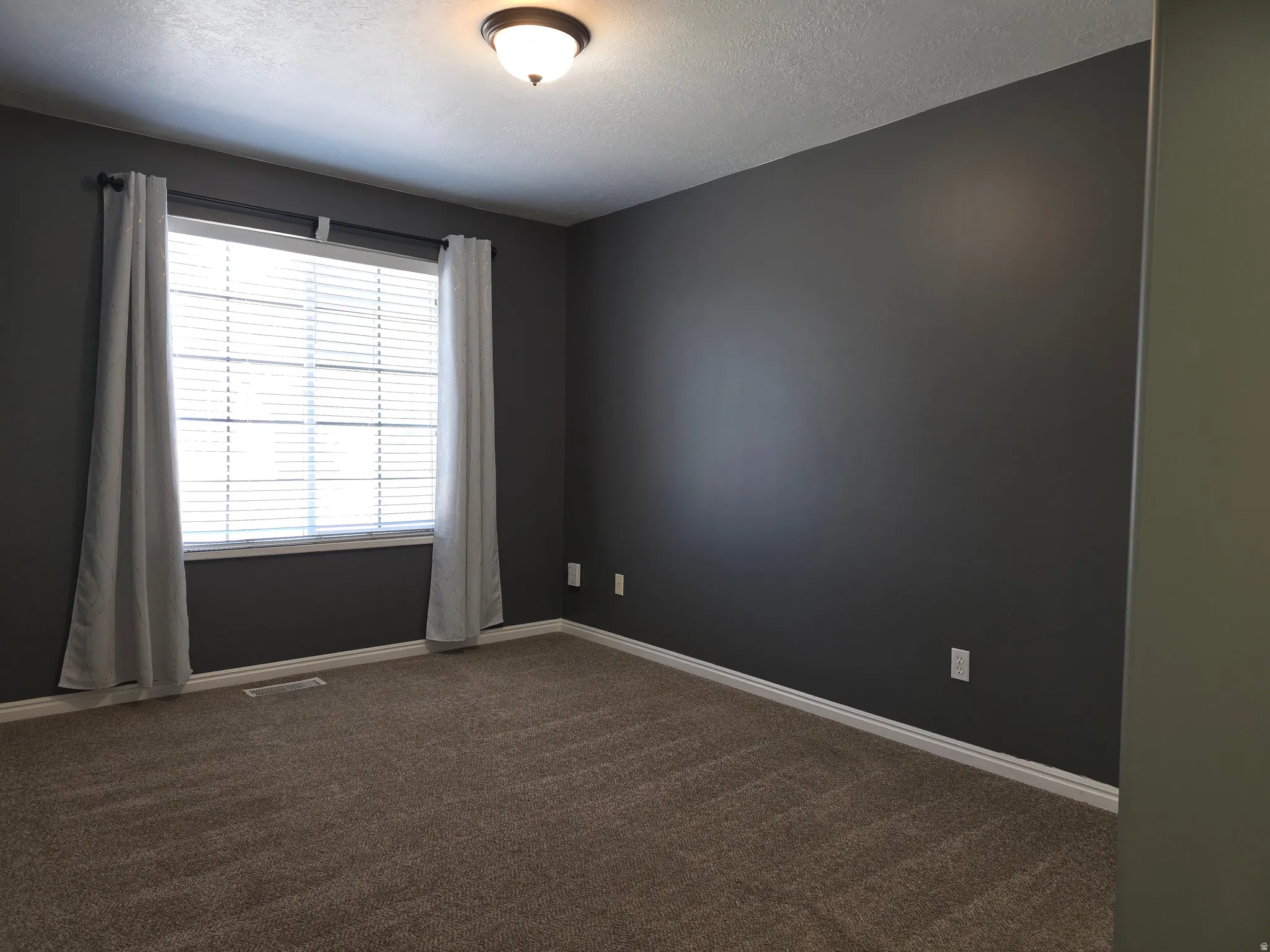 Carpeted interior room featuring a single window with blinds, dark wall paint, and white trim