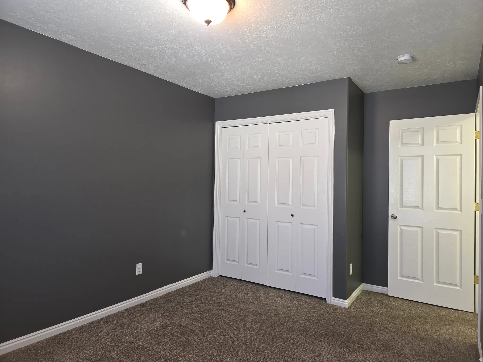 Room featuring dark gray walls, white trim, and brown carpet