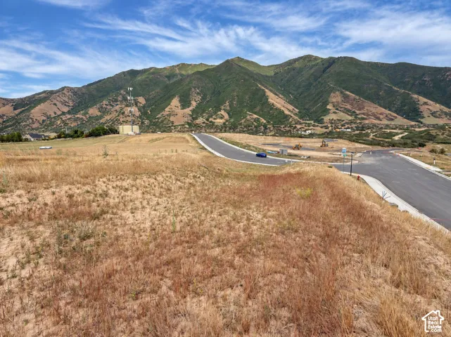 Mountain backdrop, paved road access, expansive undeveloped land