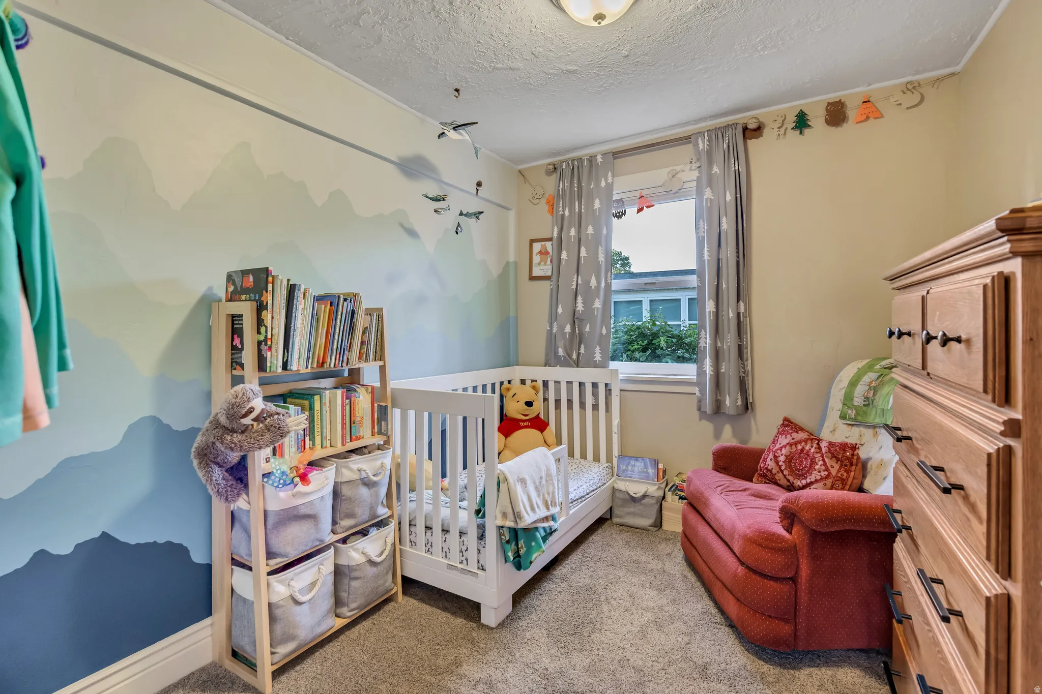 Carpeted room featuring a ceiling-mounted light fixture, a window with curtains, and a painted mural wall