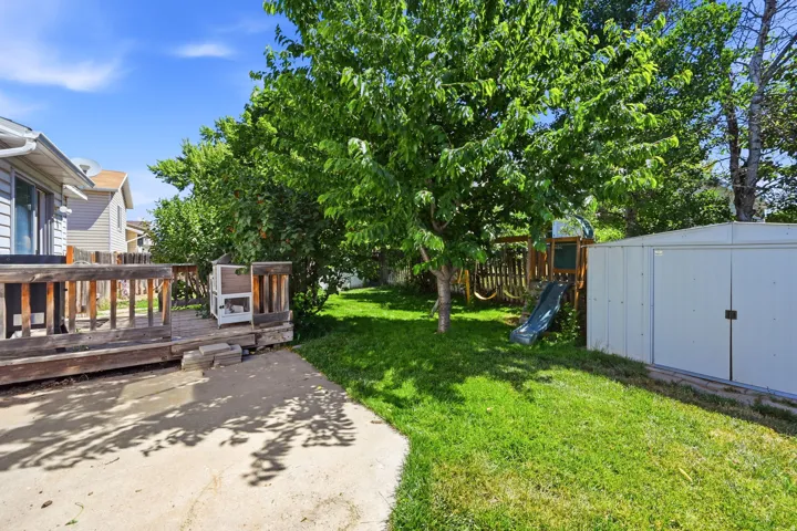 Expansive backyard featuring a concrete patio, a raised wooden deck, a mature deciduous tree, a metal storage shed, and a wooden playset with a slide and swings