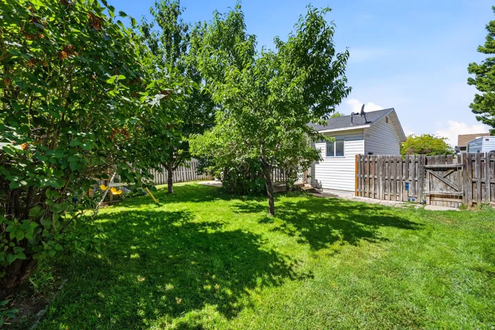 Expansive green lawn framed by mature trees