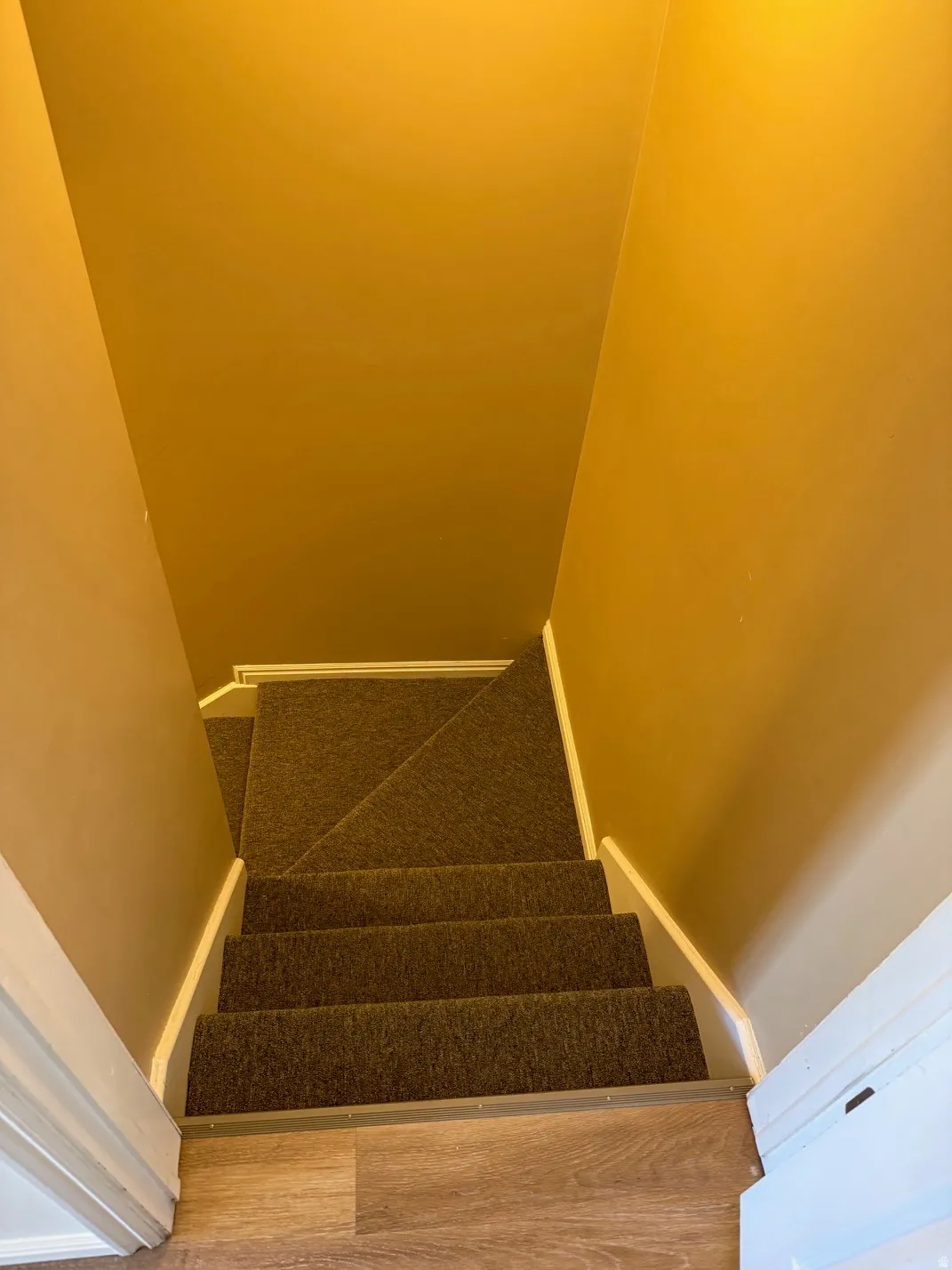 Staircase with dark brown carpeted treads and risers, framed by white trim and warm-toned walls