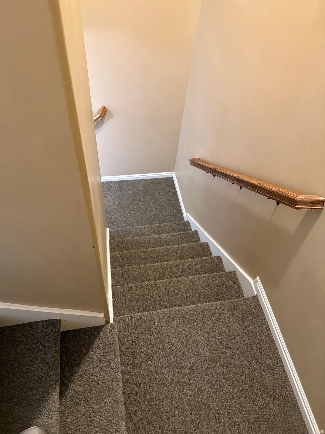 Carpeted staircase with light-toned wall paint and wood handrails