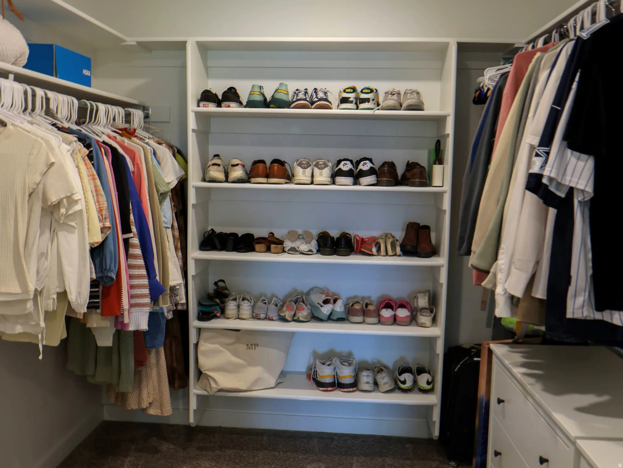 Primary bedroom walk-in closet featuring built-in shelving, carpet flooring, recessed lighting, and wall-mounted clothes rods
