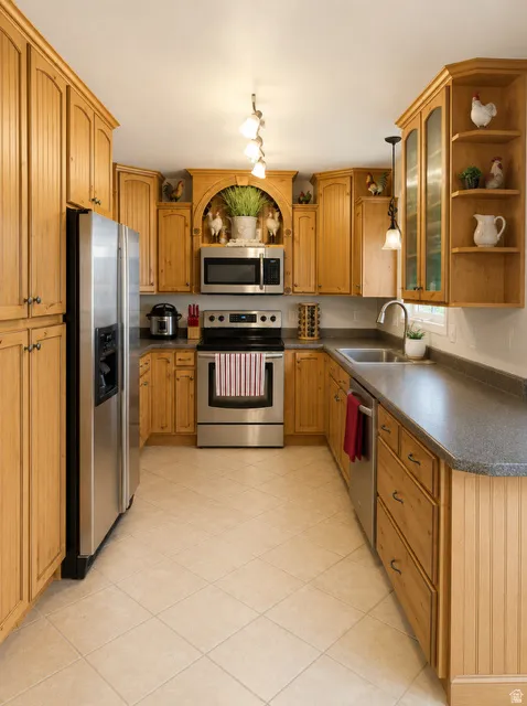 Kitchen featuring extensive wood cabinetry, stainless steel appliances, and a diagonal tile floor