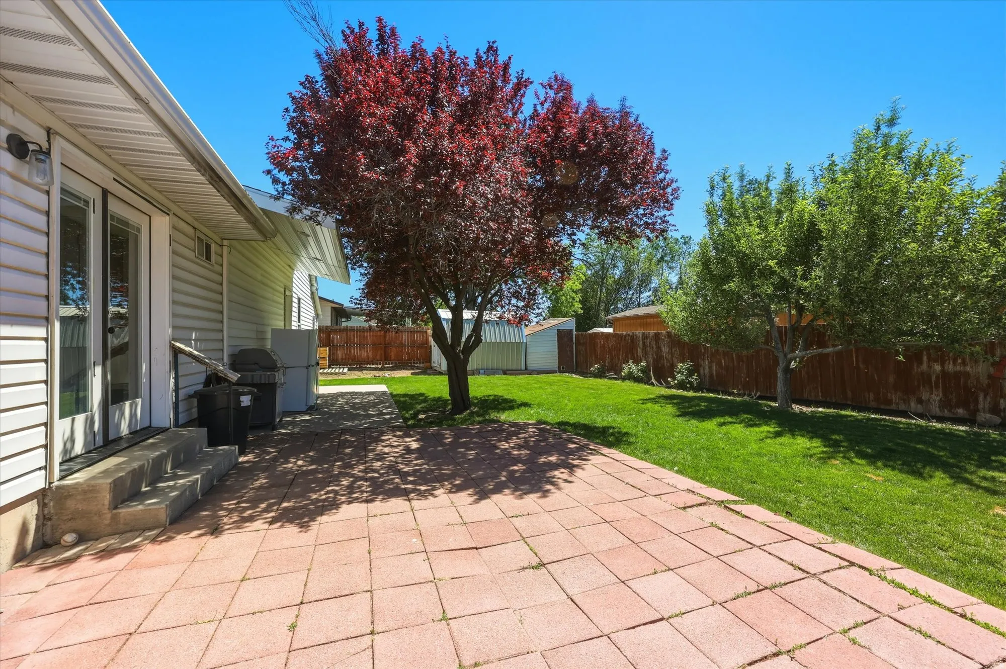 Patio terrace  - backyard with storage sheds, lawn and shade