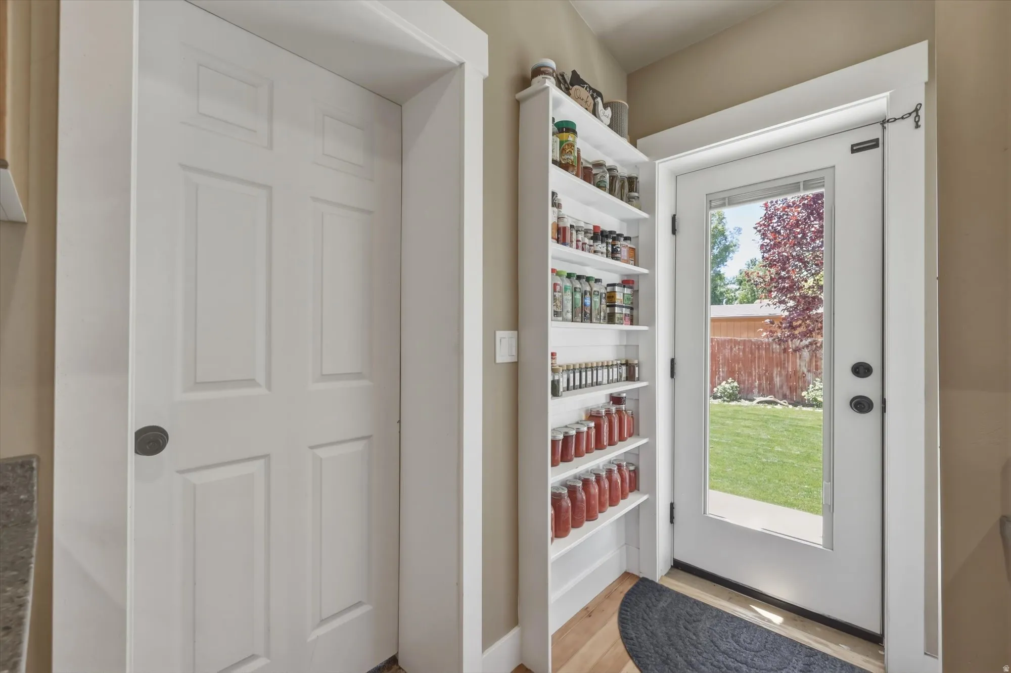 White paneled door with dark hardware, built-in shelving, and a glass-paned exterior door