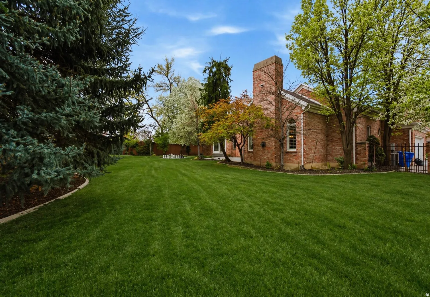 Expansive green lawn with mature evergreen trees and flowering deciduous trees