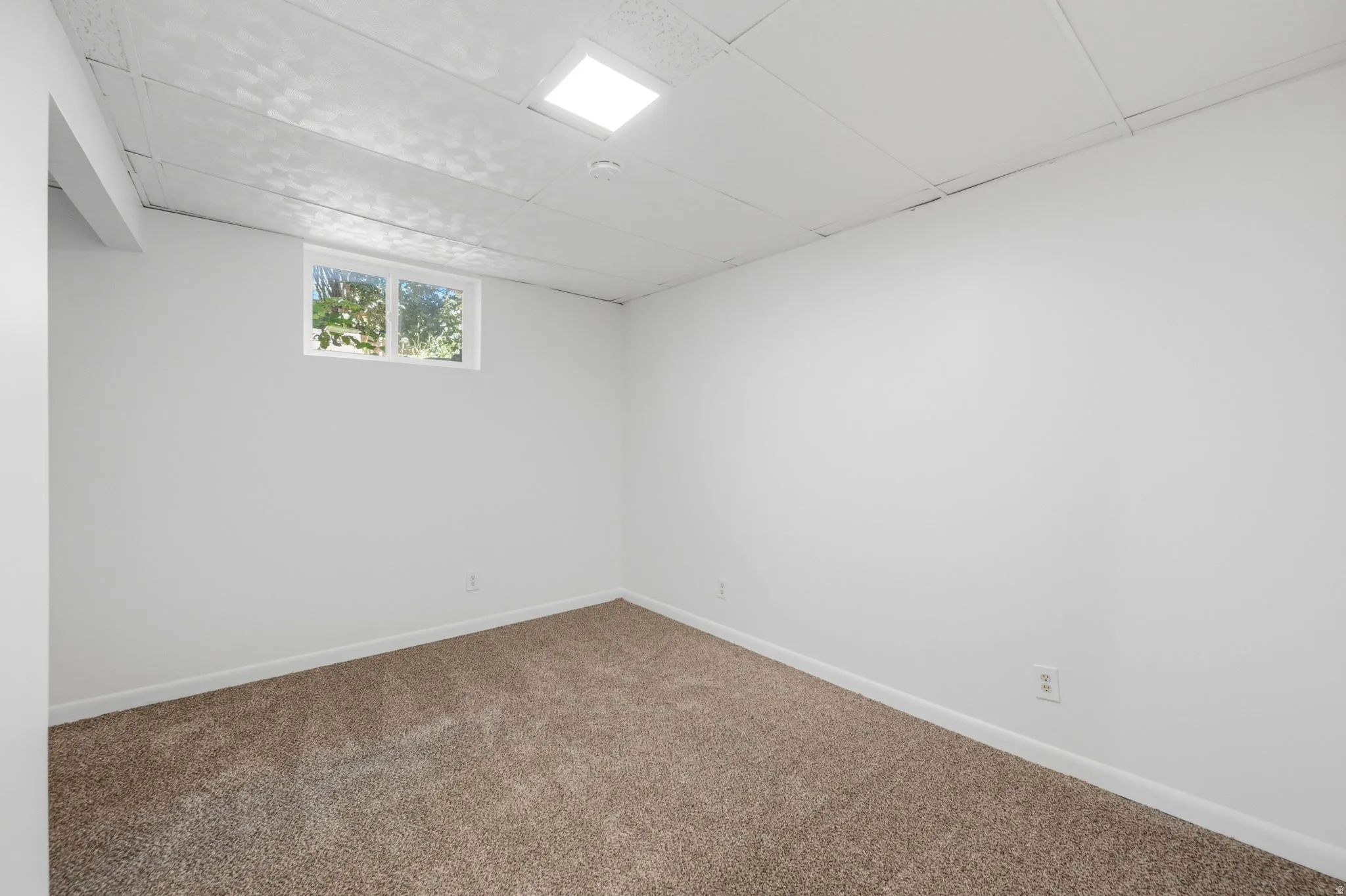 Neutral wall paint and brown carpet flooring