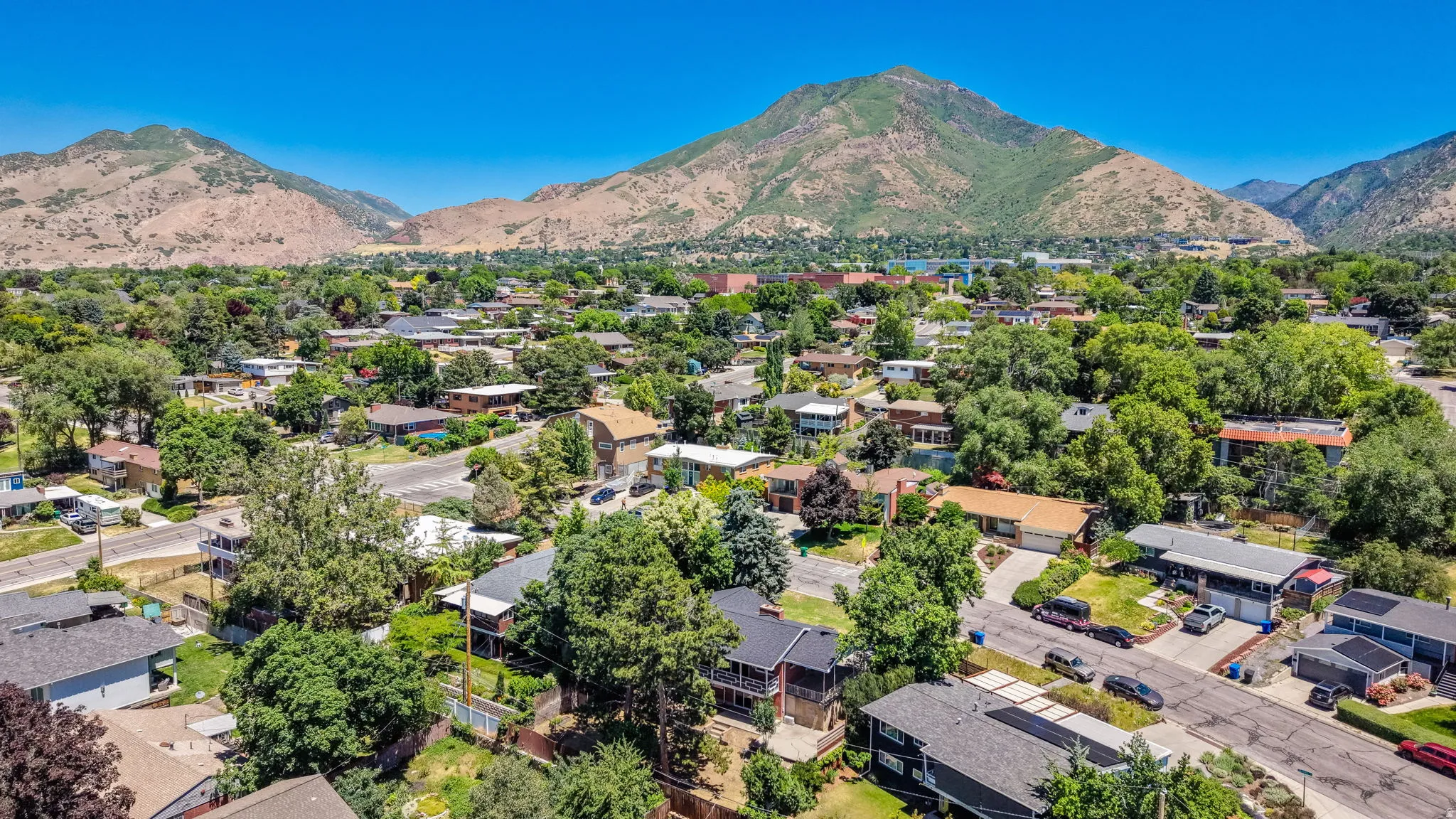 Aerial perspective showcasing a residential area with mature trees and a distant mountain range