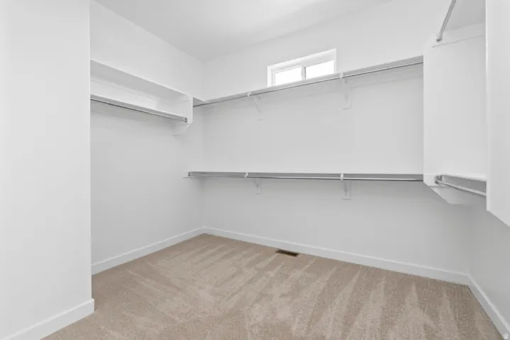 Spacious walk-in closet featuring white walls, light-colored carpeting, multiple shelving units, and hanging rods