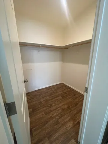 Walk-in closet with wood-finish flooring, built-in shelving, and hanging rods