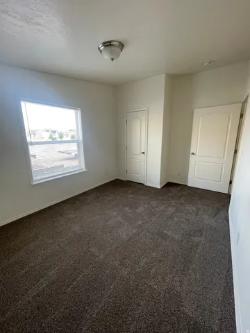 Recessed window with blinds, dark-toned carpeting, white interior doors, and a ceiling-mounted light fixture
