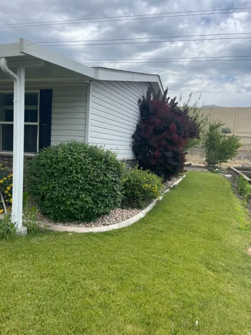 Exterior featuring white vinyl siding, a covered entry, and a landscaped garden bed with mature shrubs and small yellow flowering plants