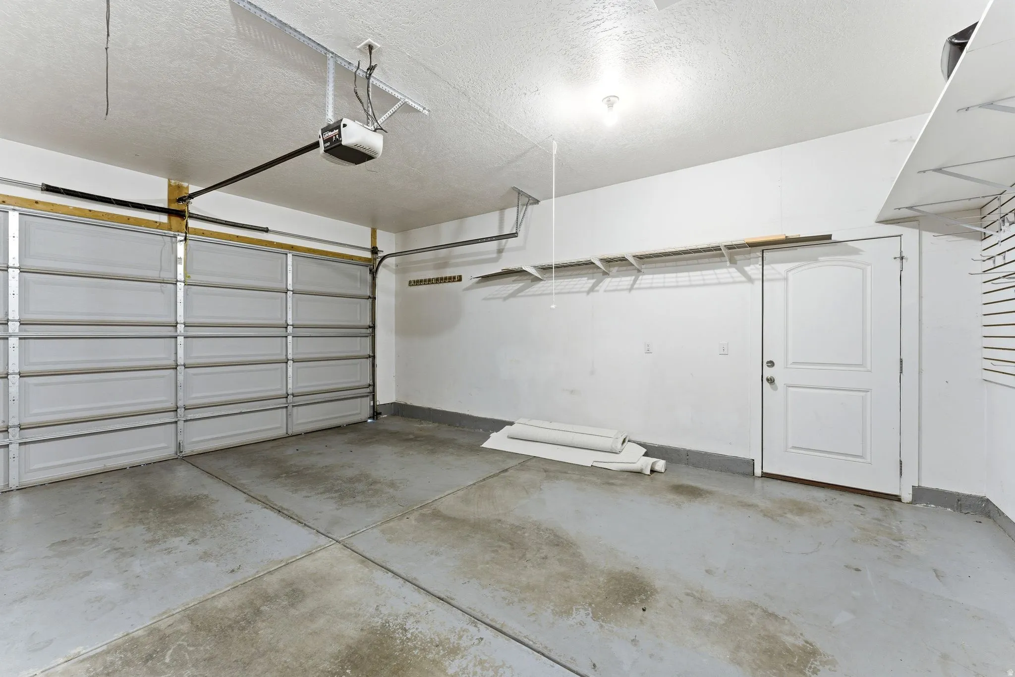 Spacious garage featuring an automatic sectional overhead door, a standard entry door, overhead lighting, and built-in wall shelving
