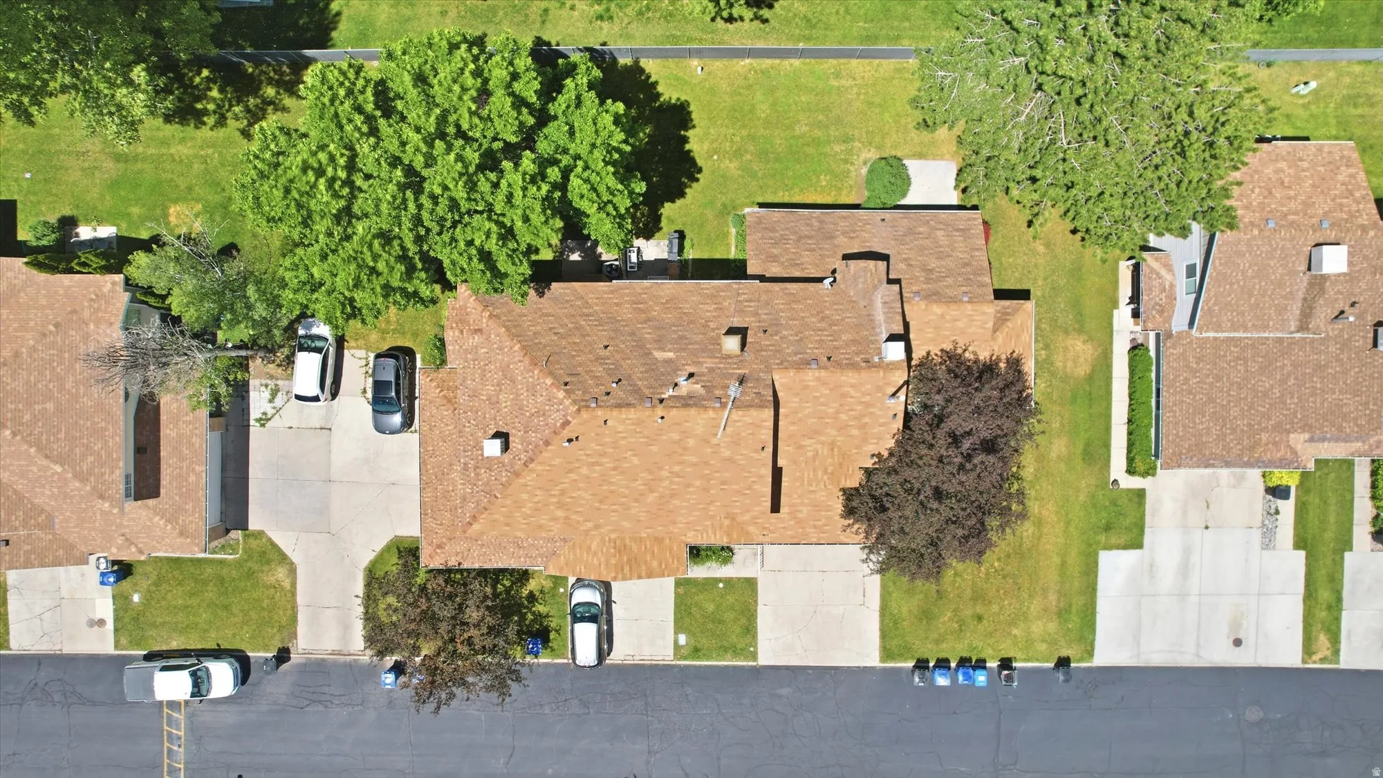 Shingle roof residence featuring a concrete driveway and mature trees