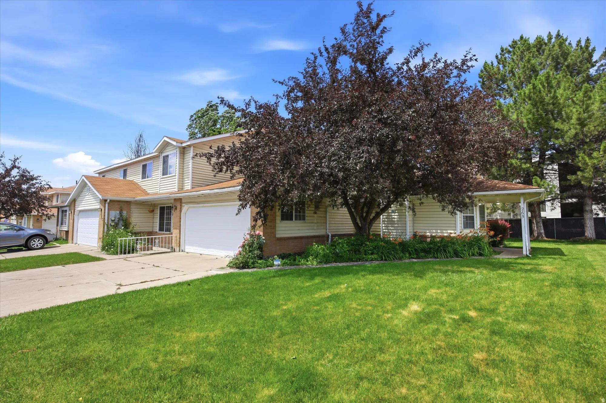Townhome exterior featuring light-colored siding, a prominent mature tree, and a covered entry