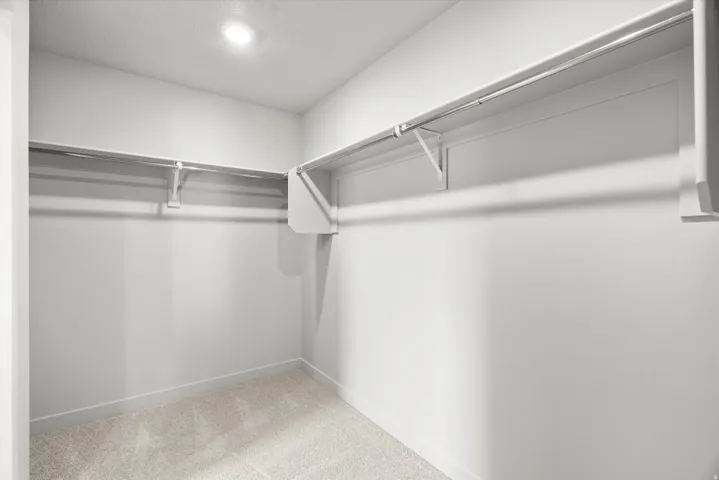 Walk-in closet featuring light gray carpeting, white walls, built-in shelving, and a recessed ceiling light