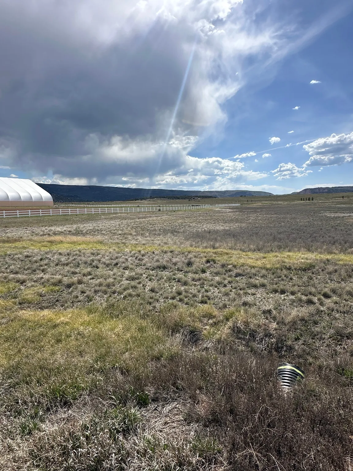 Expansive open field with natural vegetation
