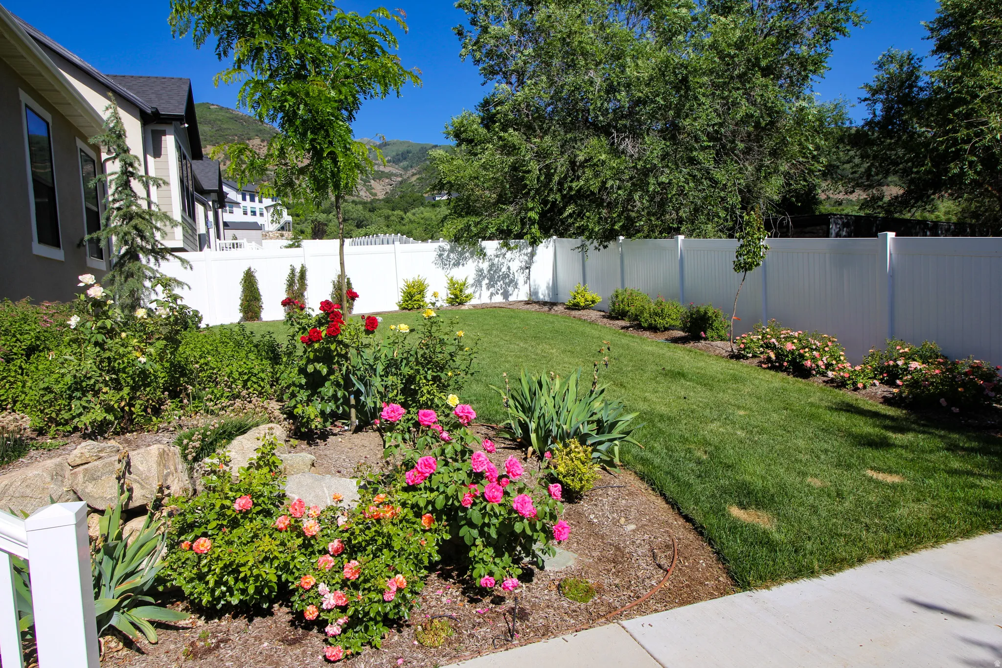 Landscaped grounds featuring a manicured lawn, established shrubbery, vibrant rose bushes, and mature trees