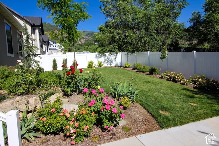 Landscaped grounds featuring a manicured lawn, established shrubbery, vibrant rose bushes, and mature trees