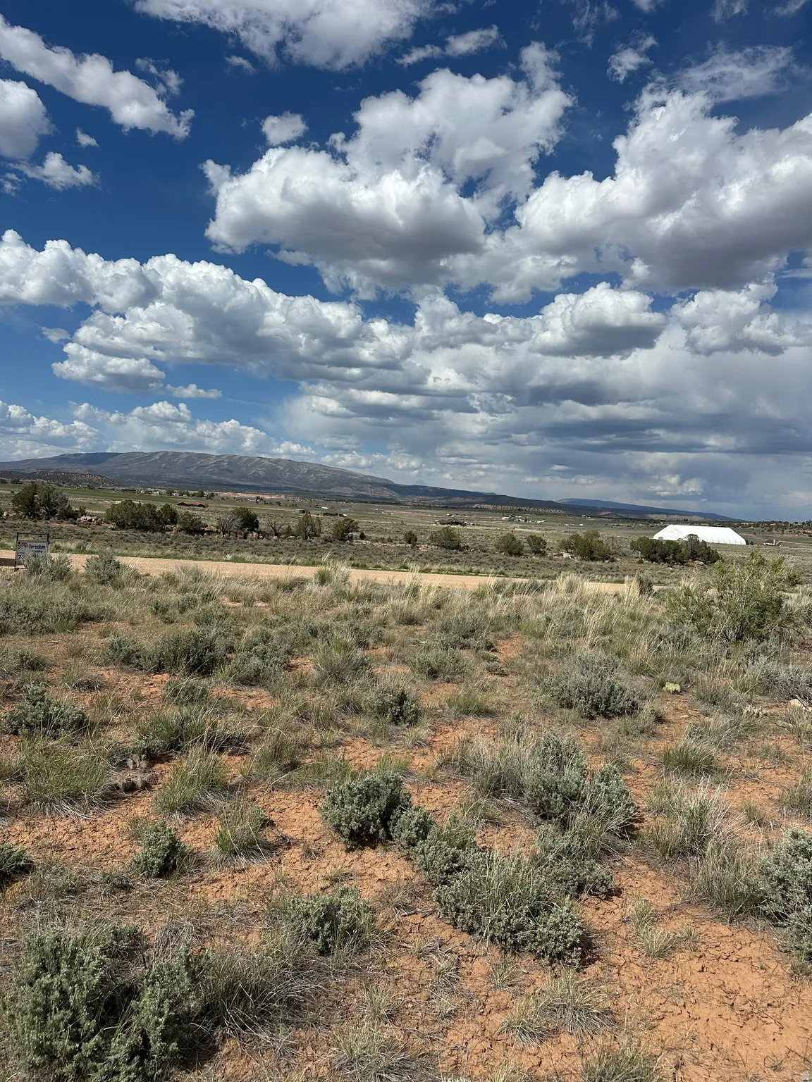Expansive land parcel featuring natural desert vegetation, a visible dirt road, and distant mountainous terrain