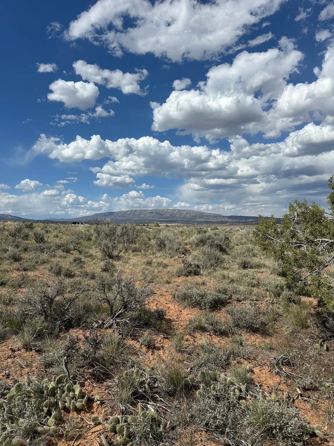 Expansive undeveloped land featuring arid vegetation, natural desert flora, and distant mountainous terrain