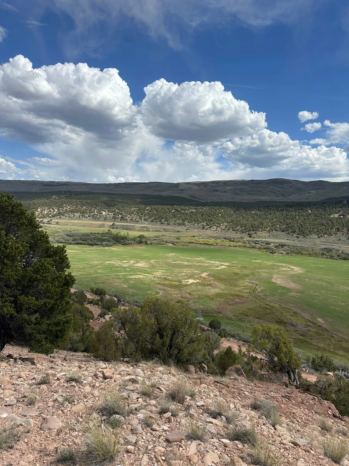 Expansive natural landscape featuring a verdant valley, distant mountainous terrain, scattered evergreen trees, and a rocky foreground with sparse vegetation