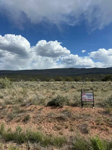 Expansive undeveloped lot featuring natural vegetation, a clear blue sky, and a distant mountain range