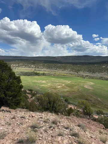 Expansive natural landscape featuring a verdant valley, distant mountainous terrain, scattered evergreen trees, and a rocky foreground with sparse vegetation