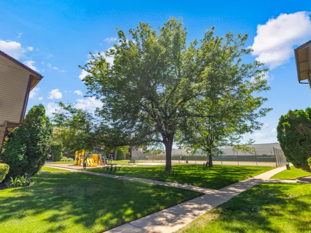Expansive green space featuring a mature shade tree, concrete pathways, and manicured lawns