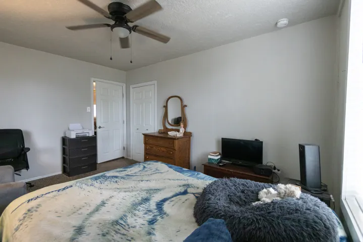 Neutral wall paint, ceiling fan with light fixture, and two white panel doors