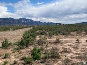 Expansive desert landscape featuring a dirt road, low-lying green shrubs, and distant mountains under a cloudy sky