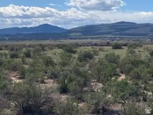 Expansive undeveloped land featuring natural vegetation and distant mountain ranges
