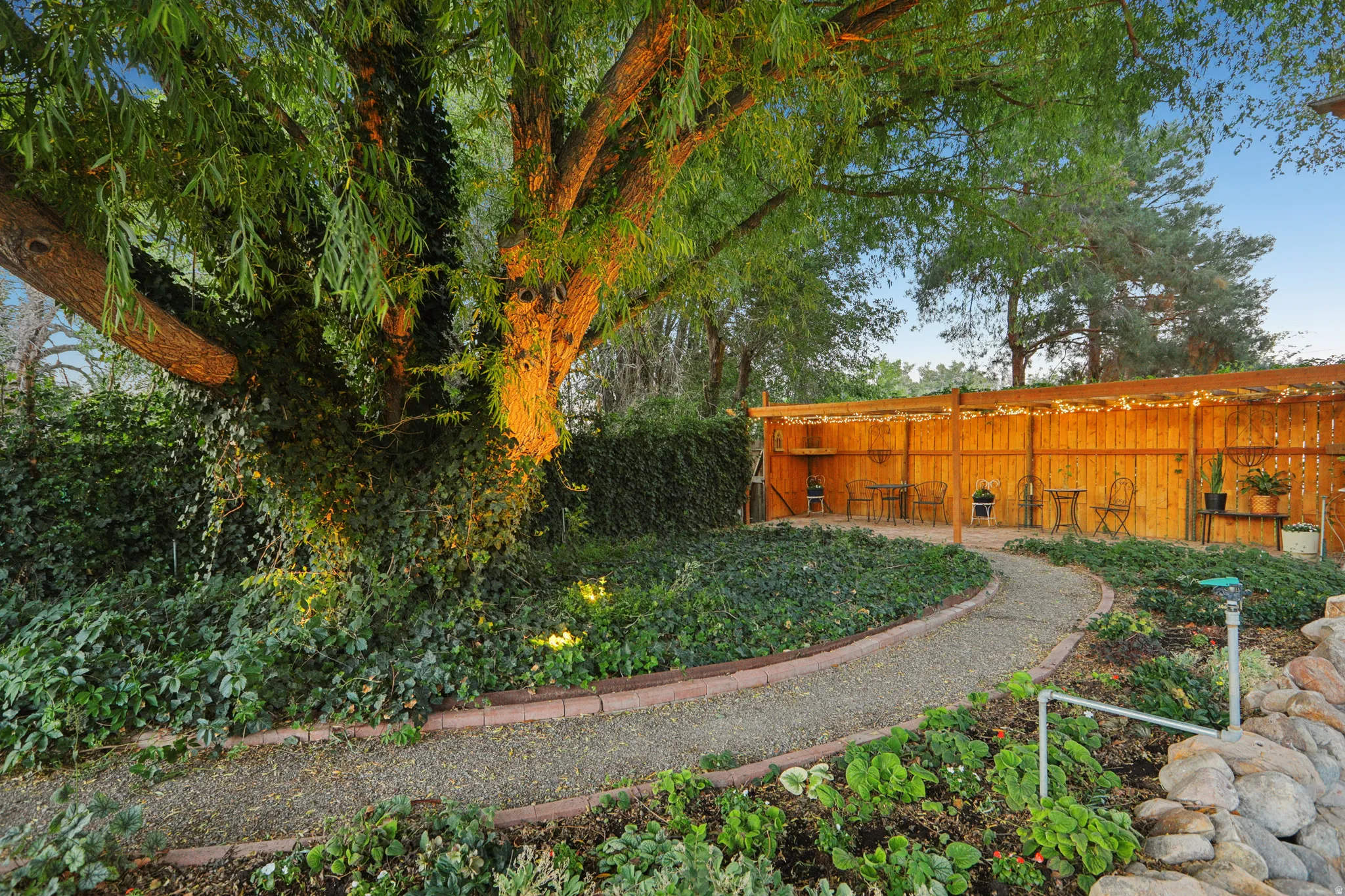 Landscaped garden path featuring mature tree, lush ground cover, gravel walkway, and a slatted wood privacy fence