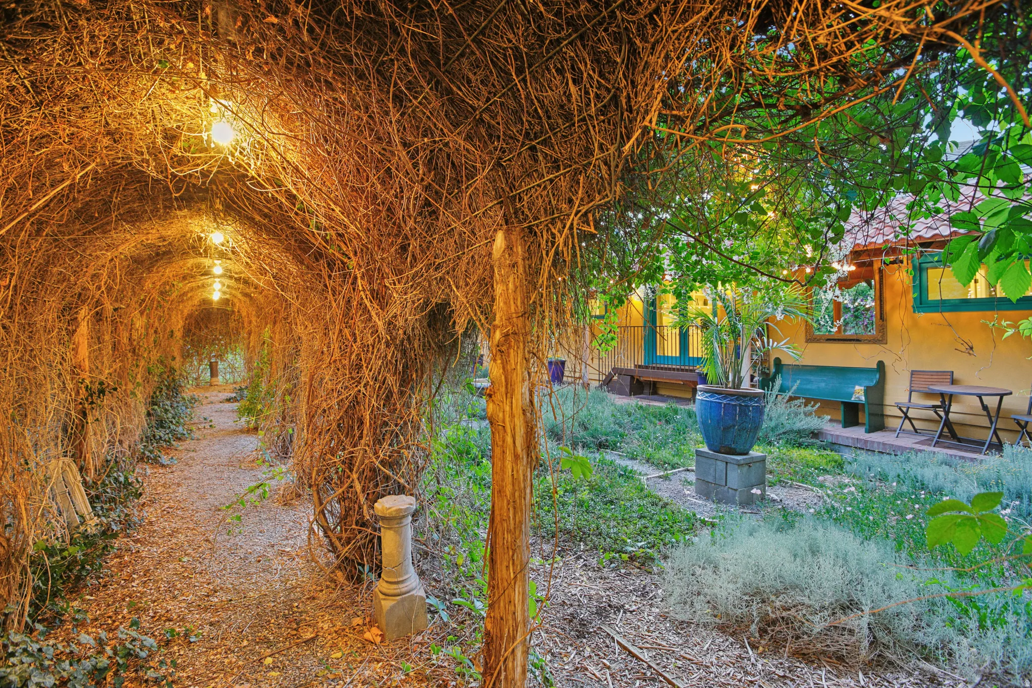 Garden path featuring an illuminated vine-covered arbor and natural ground cover