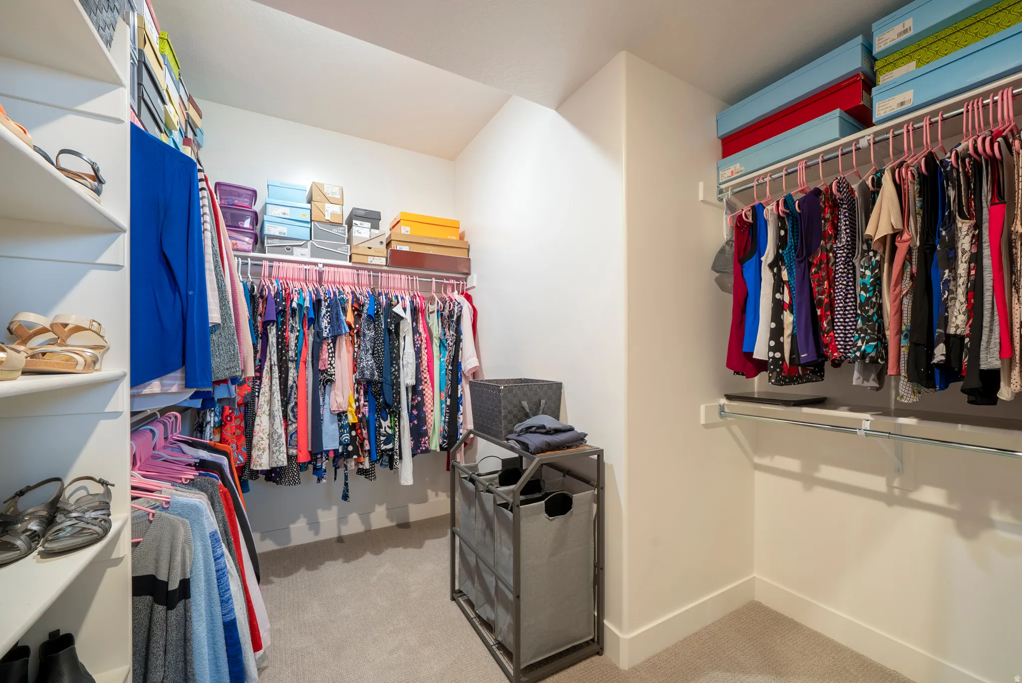 Walk-in closet featuring built-in shelving, white walls, and light-colored carpeting