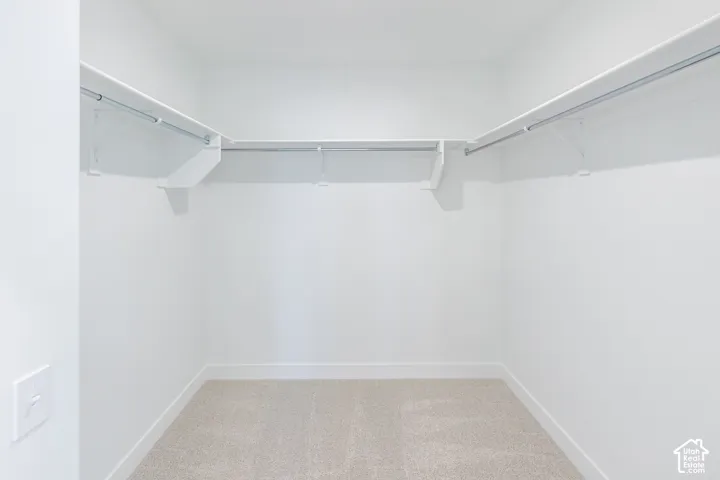 Walk-in closet featuring neutral carpeting and wrap-around white shelving with integrated metal rods