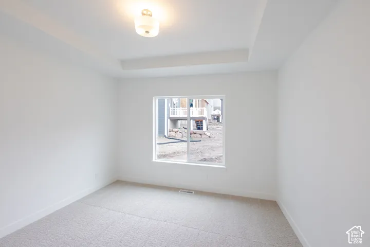 Room featuring a tray ceiling, neutral wall-to-wall carpeting, and a dual-pane sliding window with a semi-flush mount light fixture