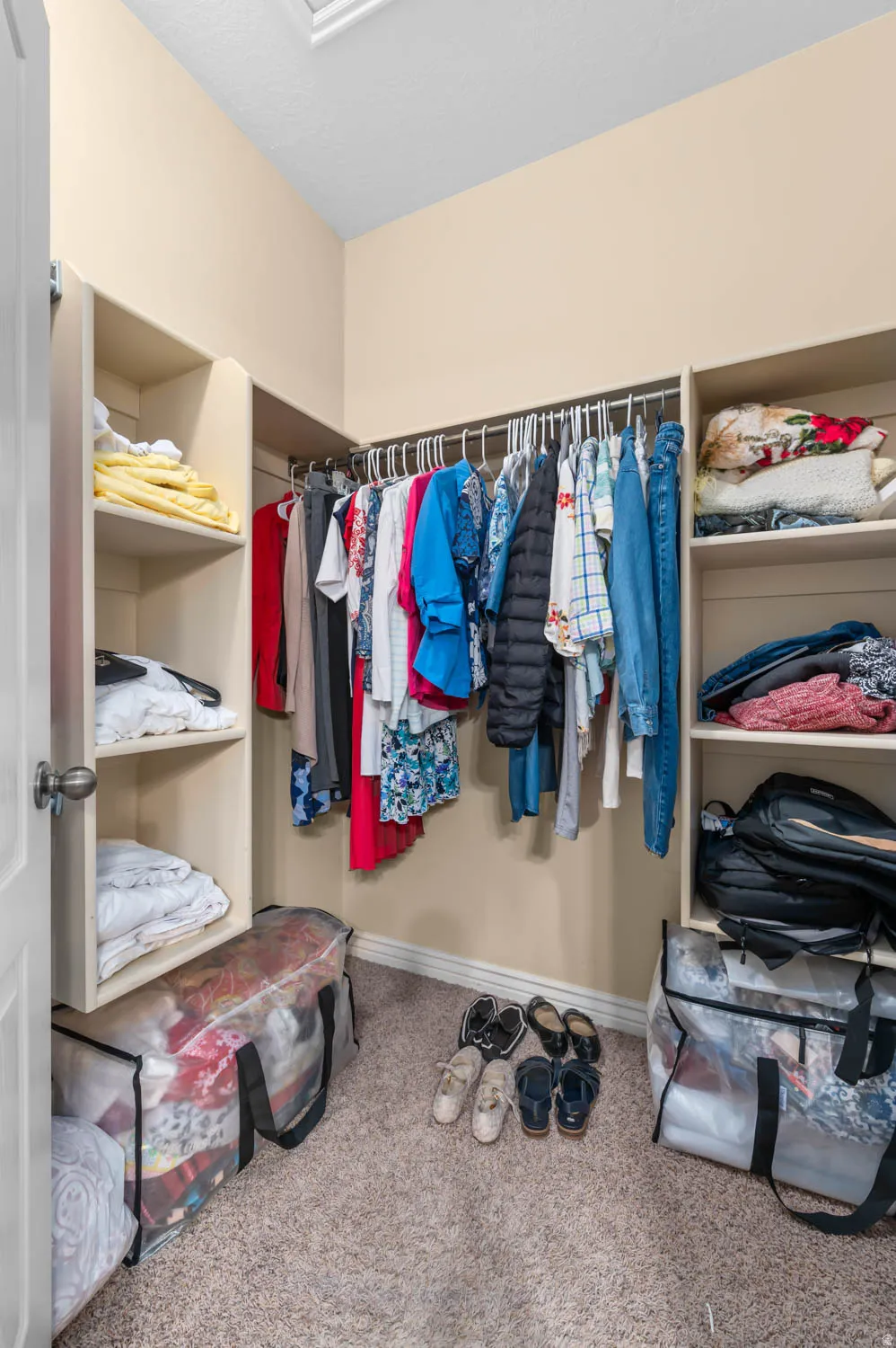 Walk-in closet featuring carpet flooring, built-in shelving, and clothes hanging rods