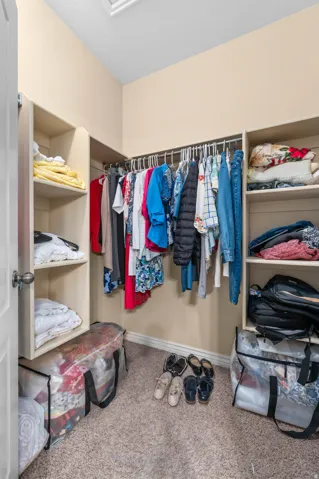 Walk-in closet featuring carpet flooring, built-in shelving, and clothes hanging rods