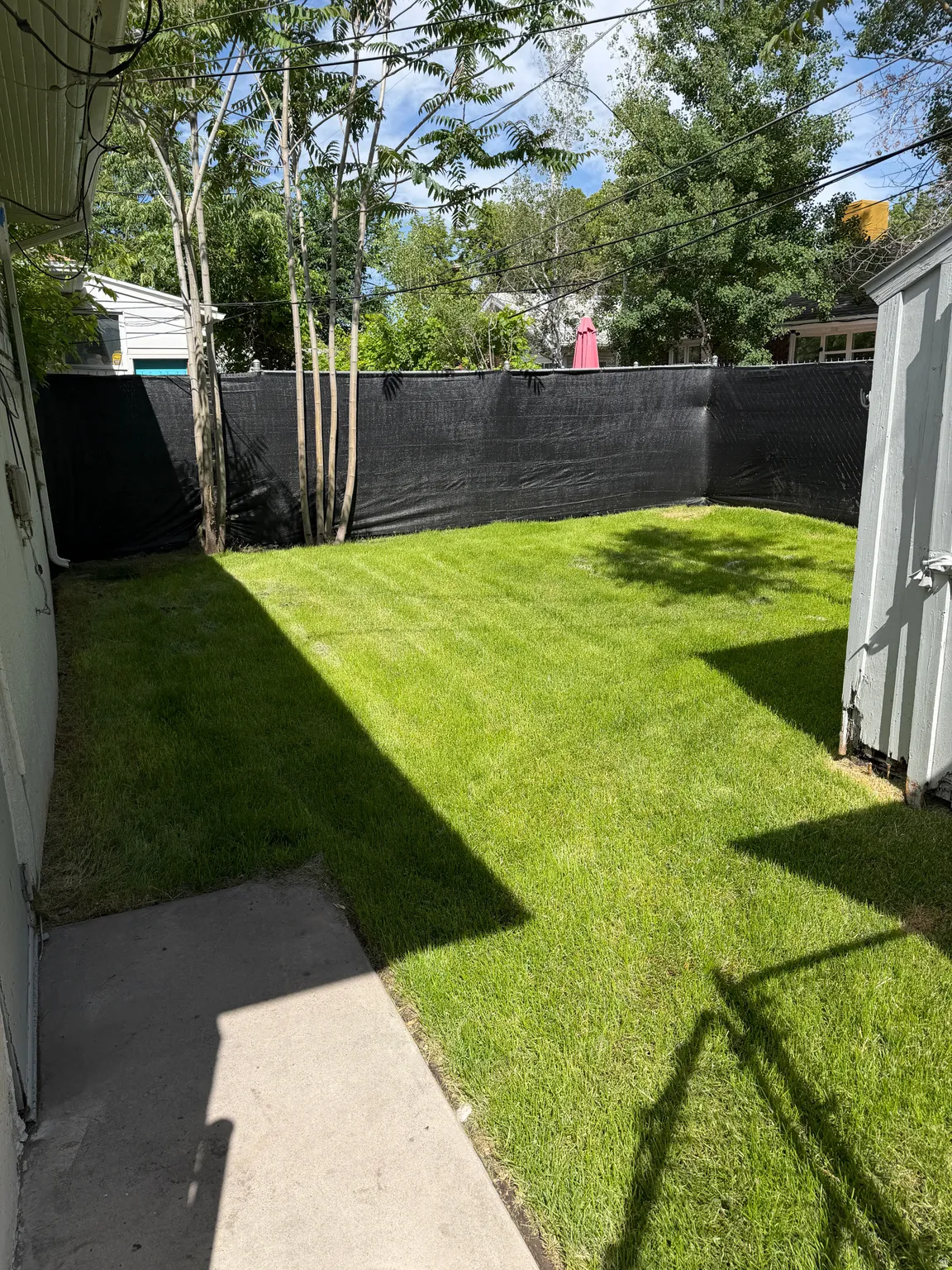 Expansive backyard featuring a green lawn, mature trees, concrete patio, and dark privacy fencing