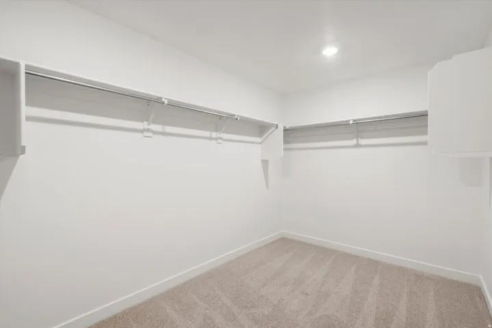 Walk-in closet with beige carpet flooring, recessed lighting, and white walls