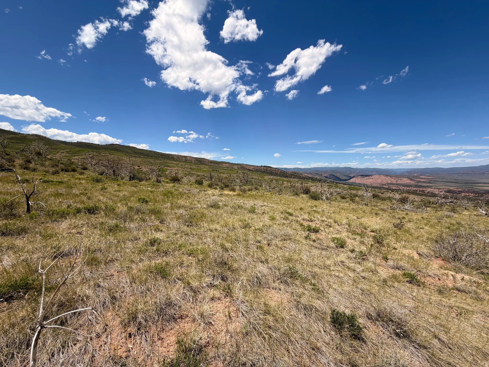View to the west, where the gentle slope creates the ideal set up for a future cabin or camper getaway.