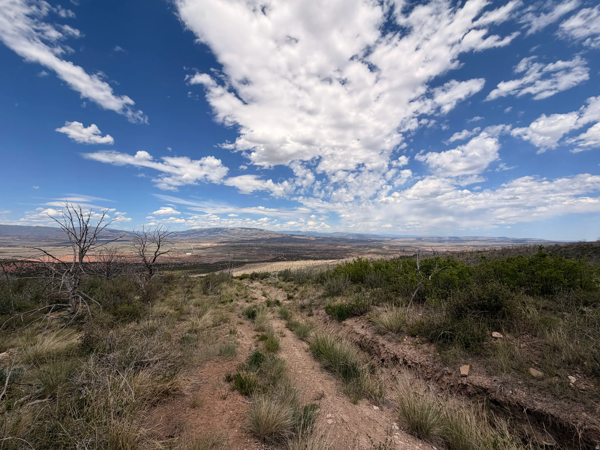 Dirt road (Center Rd) runs through property.  View is looking north.