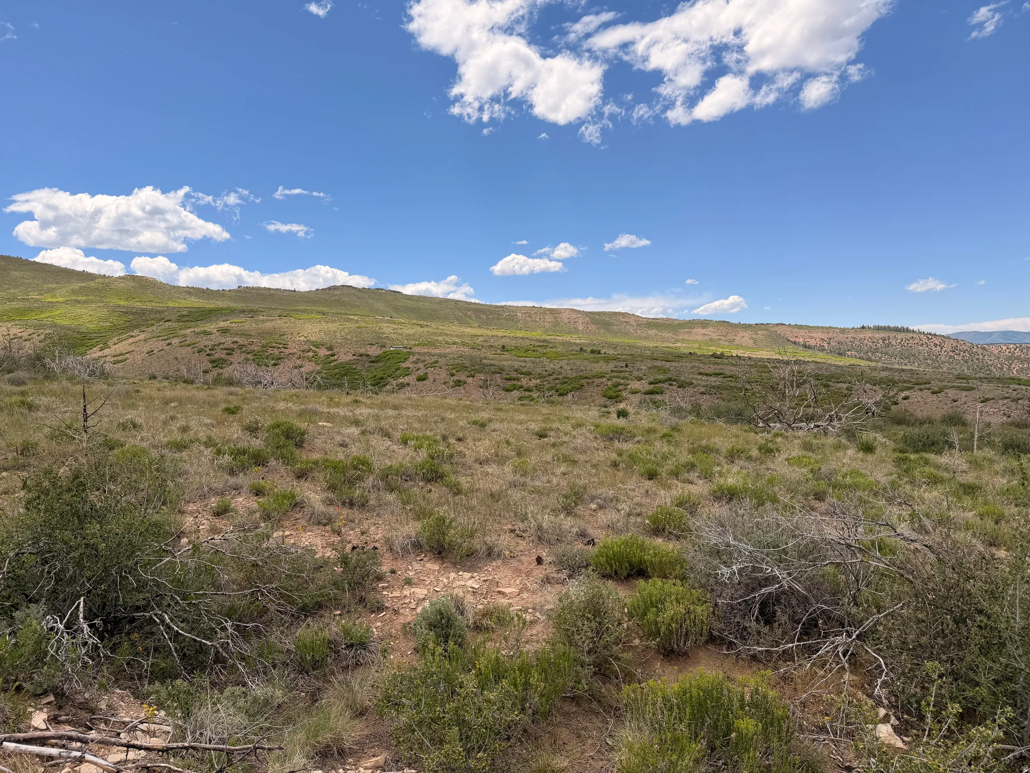 View to the south, just slightly below the top of the mountain.